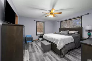 1231 90th St, Joy, IL - Photo 29