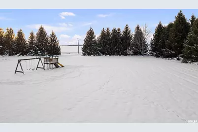 1231 90th Street, Joy, IL  - Photo 11