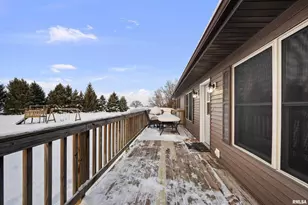 1231 90th St, Joy, IL - Photo 15