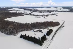 1231 90th St, Joy, IL - Photo 3