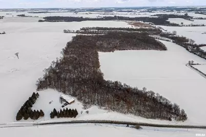 1231 90th Street, Joy, IL  - Photo 5