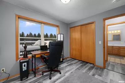 1231 90th Street, Joy, IL  - Photo 25