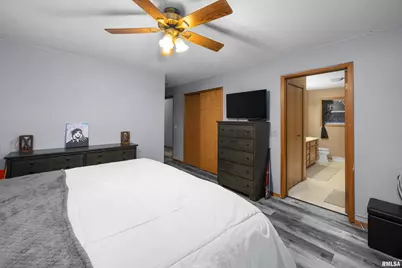 1231 90th Street, Joy, IL  - Photo 31