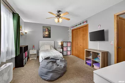 313 Sullivan Drive, Colona, IL 61241 - Photo 31