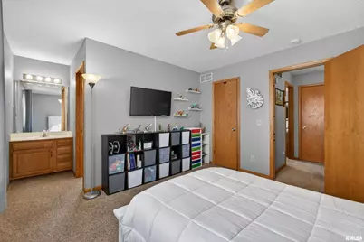 313 Sullivan Drive, Colona, IL 61241 - Photo 29