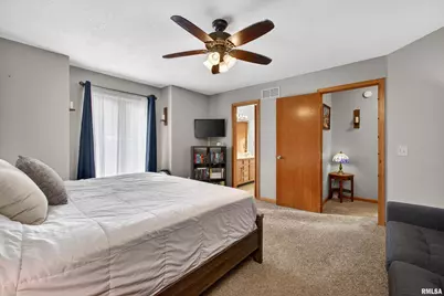 313 Sullivan Drive, Colona, IL 61241 - Photo 15