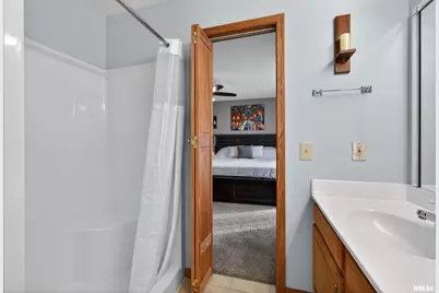 313 Sullivan Drive, Colona, IL 61241 - Photo 19