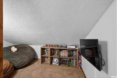 313 Sullivan Drive, Colona, IL 61241 - Photo 25