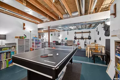 313 Sullivan Drive, Colona, IL 61241 - Photo 35