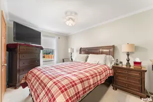 225 Carroll St, Colona, IL 61241 - Photo 15