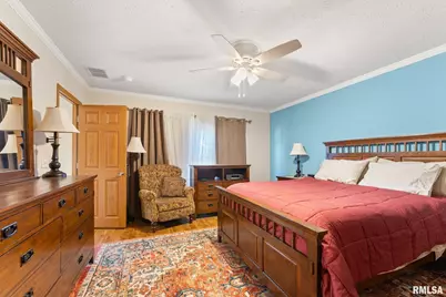 225 Carroll Street, Colona, IL 61241 - Photo 17