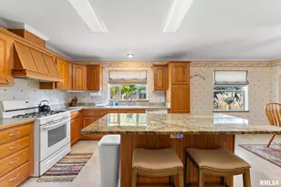 225 Carroll St, Colona, IL 61241 - Photo 13