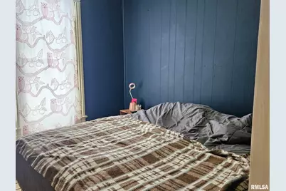 201 E May Street, Joy, IL 61260 - Photo 13