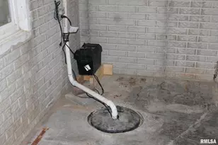 410 E North St, Cambridge, IL 61238 - Photo 49