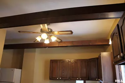 410 E North Street, Cambridge, IL 61238 - Photo 21