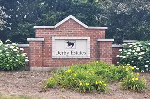 1009 Secretariat Dr, Genoa, IL 60135 - Photo 1