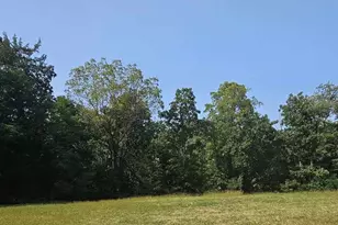 437 Woodland Trail, Lindenhurst, IL 60046 - Photo 1