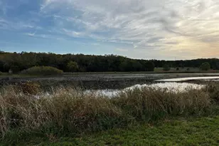 915 Brassfield Ave, Romeoville, IL 60446 - Photo 1