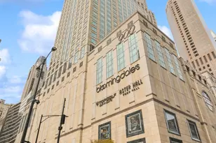 132 E Delaware Pl, Chicago, IL 60611 - Photo 1