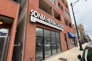 1625 W North Ave, Chicago, IL 60622 - Photo 1