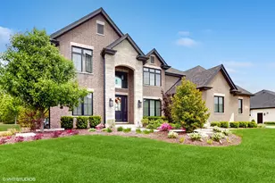 11050 Deer Haven Ln, Orland Park, IL 60467 - Photo 1