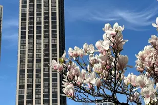 2650 N Lakeview Ave, Chicago, IL 60614 - Photo 1