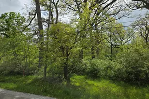 23647 S Ashland Ave, Crete, IL 60417 - Photo 1