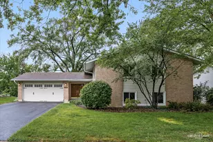 6406 Marshall Dr, Woodridge, IL 60517 - Photo 1