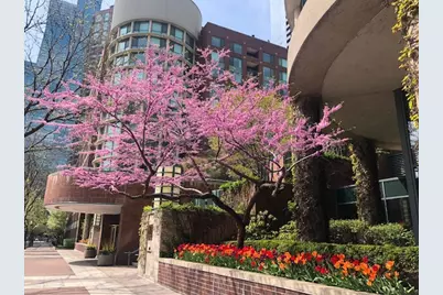 480 N McClurg Court #807, Chicago, IL 60611 - Photo 1