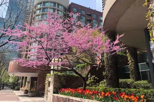 480 N McClurg Ct, Chicago, IL 60611 - Photo 1