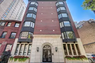 39 E Schiller St, Chicago, IL 60610 - Photo 1