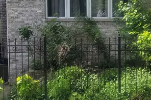 541 W 44th Pl, Chicago, IL 60609 - Photo 1