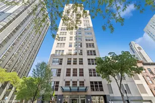 1035 N Dearborn St, Chicago, IL 60610 - Photo 1