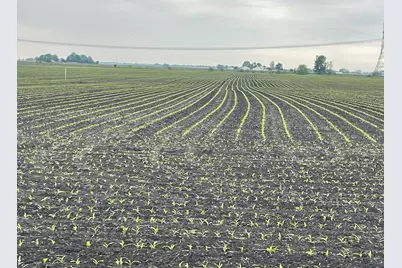 15781 Brisbin Road, Minooka, IL 60447 - Photo 1