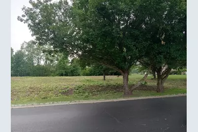 6867 Ellis Avenue, Long Grove, IL 60047 - Photo 1