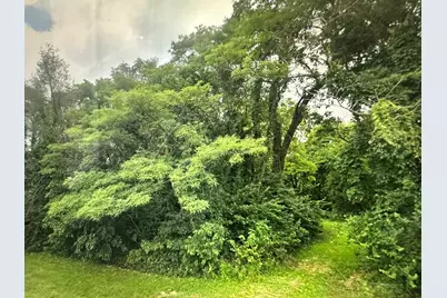 113 Prairie Drive, Essex, IL 60935 - Photo 1