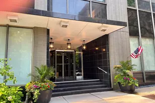 253 E Delaware Pl, Chicago, IL 60611 - Photo 1