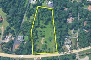 13201 Archer Ave, Lemont, IL 60439 - Photo 1