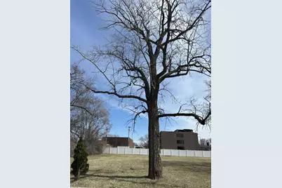 8003 S Oconto Avenue, Bridgeview, IL 60455 - Photo 1