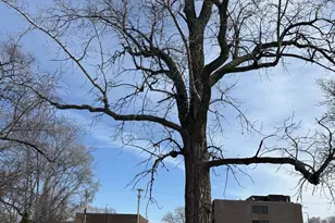 8003 S Oconto Ave, Bridgeview, IL 60455 - Photo 1