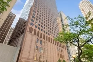 161 E Chicago Ave, Chicago, IL 60611 - Photo 1