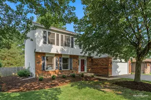 245 Terrance Dr, Naperville, IL 60565 - Photo 1