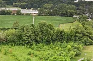 6873 Ellis Ave, Long Grove, IL 60047 - Photo 1