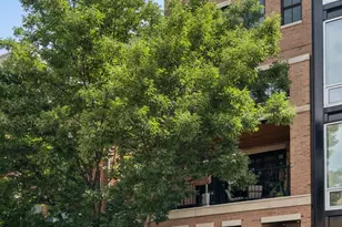 1923 N Damen Ave, Chicago, IL 60647 - Photo 1