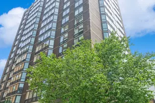 21 W Goethe St, Chicago, IL 60610 - Photo 1