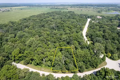 7301 Fitkins Drive, Oswego, IL 60543 - Photo 1