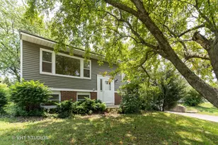 6967 Hemlock St, Hanover Park, IL 60133 - Photo 1