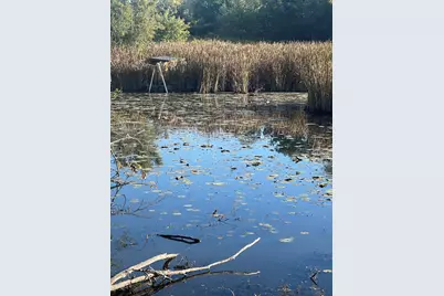 35506 N Helendale Road, Ingleside, IL 60041 - Photo 1