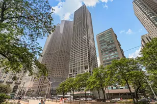 1000 N Lake Shore Plaza, Chicago, IL 60611 - Photo 1