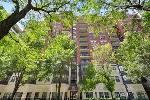 1250 S Indiana Ave, Chicago, IL 60605 - Photo 1